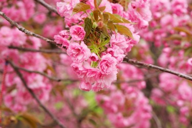 常州钟楼区2线下个人借款平台一站式服务，轻松解决资金难题