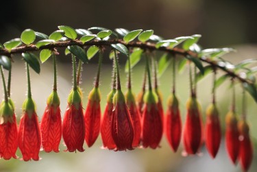 常州钟楼区2零用贷短借：轻松解决临时资金需求