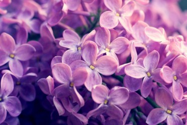 常州钟楼区2企业急用钱贷款攻略：快速融资解燃眉之急